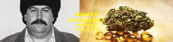 хмурый Богородск