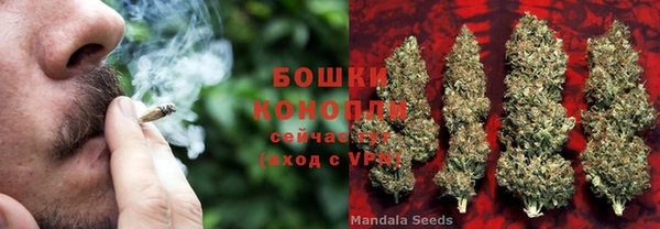 кокс Богородицк