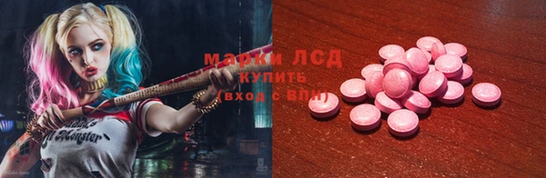 прущие грибы Бугульма