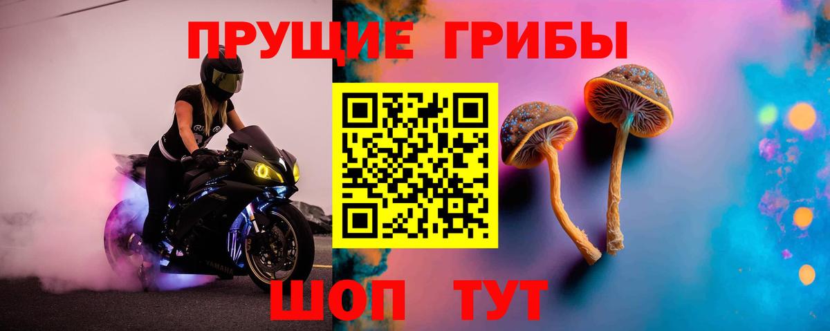 Галлюциногенные грибы GOLDEN TEACHER  Галлюциногенные грибы Cubensis  Вход с VPN  Великий Устюг 